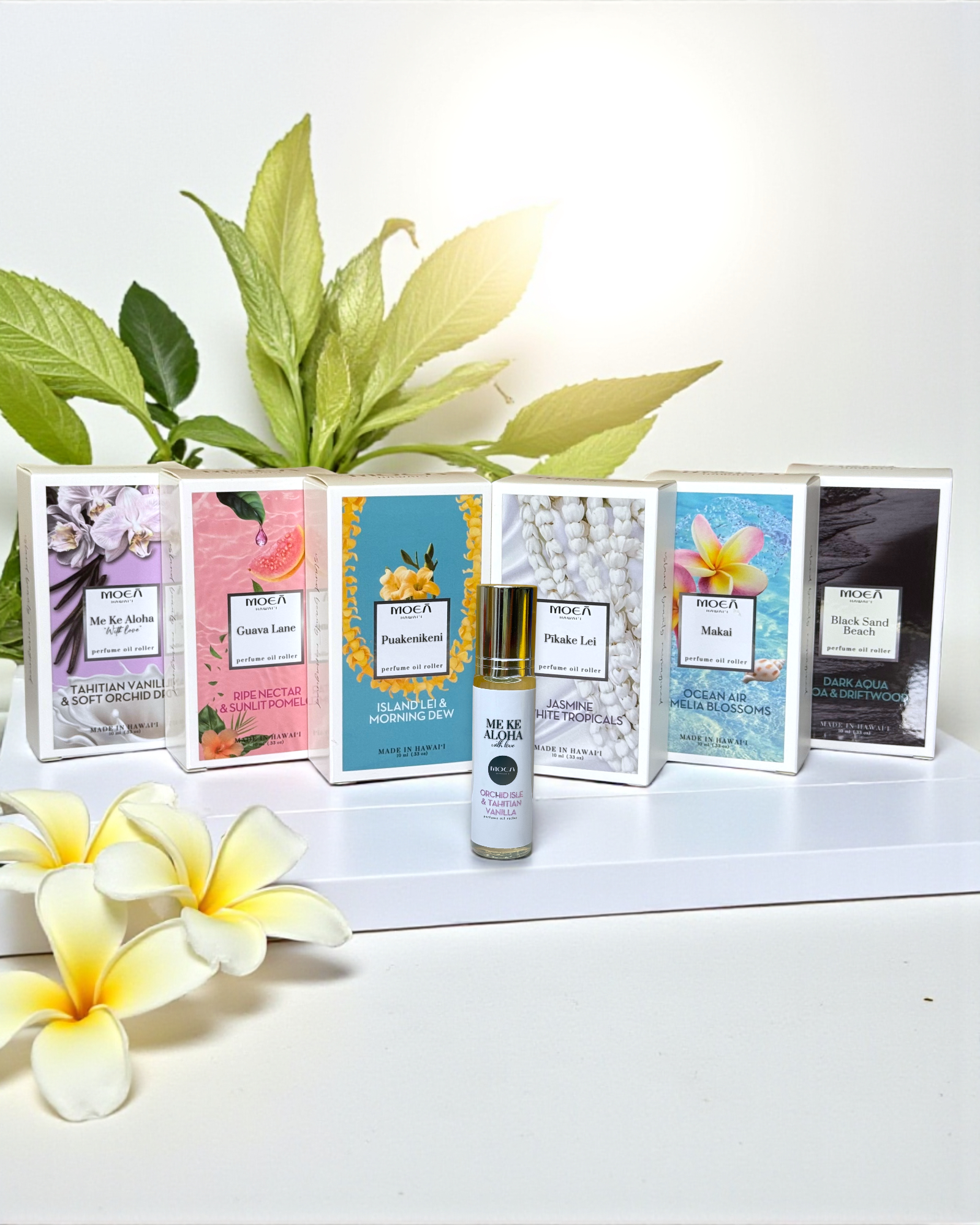 Collection of perfume bottles with packaging and a plant in the background