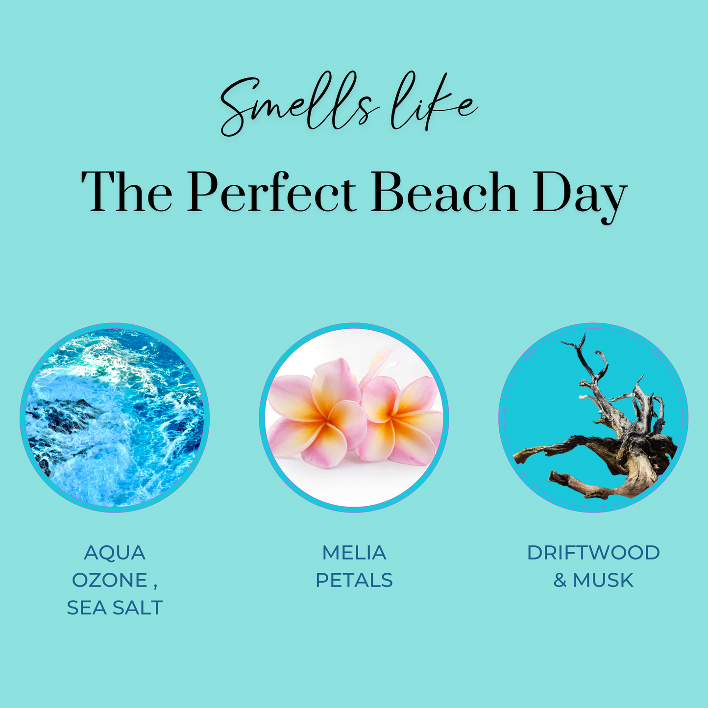 Makai "Seaside Dreams" / Ocean Air & Melia Petals Perfume Oil Roller